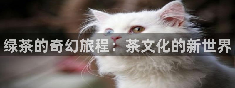 阿离被爆漫画羞羞漫画：绿茶的奇幻旅程：茶文化的新世界