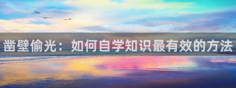 交换游戏羞羞漫画：凿壁偷光：如何自学知识最有效的方法